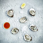Oysters on Ice