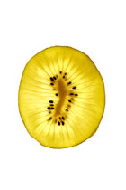Kiwi Art